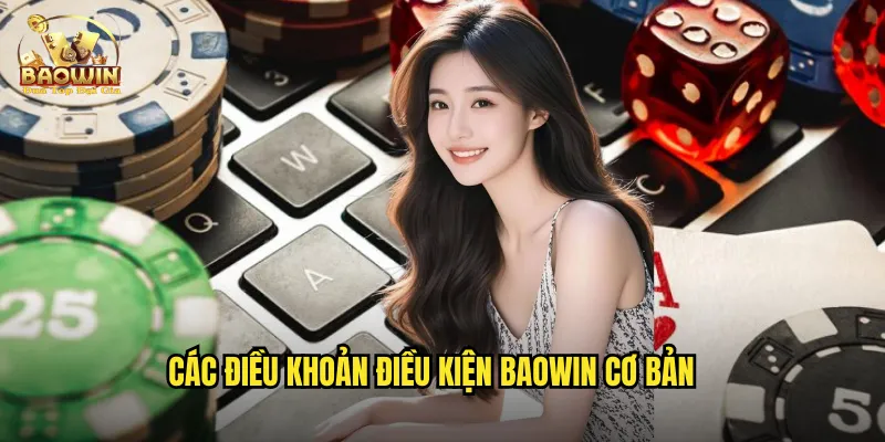 Các điều khoản điều kiện Baowin cơ bản