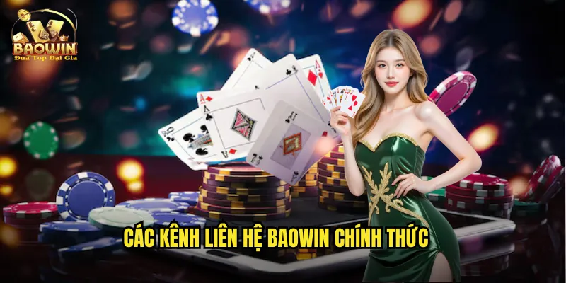 Các kênh liên hệ Baowin chính thức